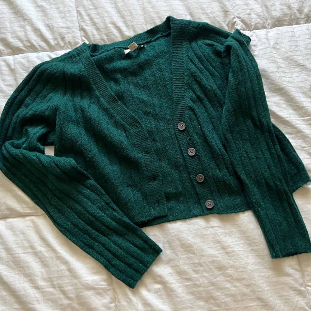 American Eagle Cardigan Sweater